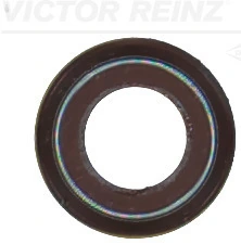 Seal Ring, valve stem